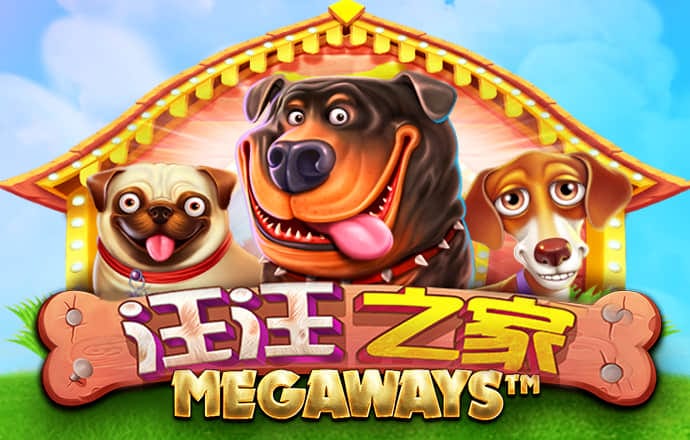 期期中下载手机版安卓版